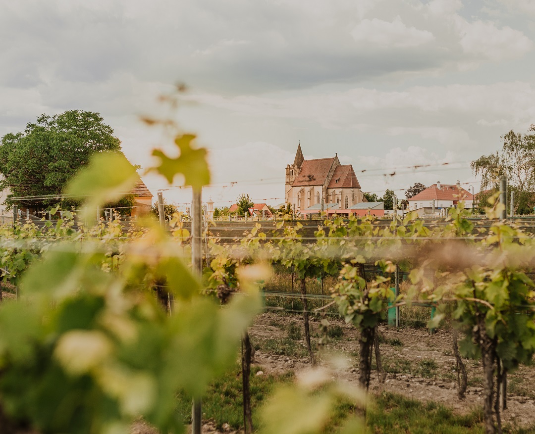 Weingut Mayer-Hörmann