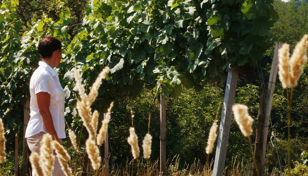 Weingut Renate Schuster